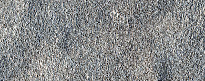 Northern Plains Terrain

