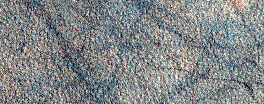 Northern Plains Terrain
