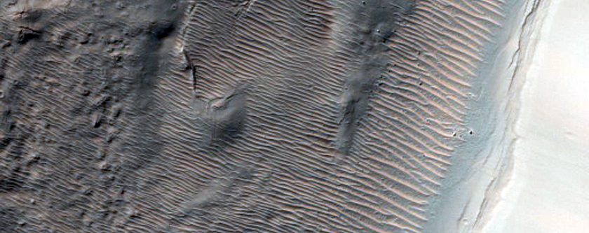 Gully Monitoring
