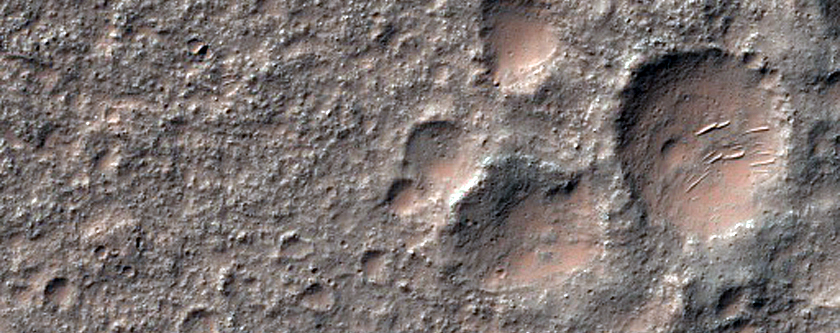 Bedrock Units and Contacts
