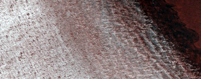 Sustained Bright Patches in the North Polar Region
