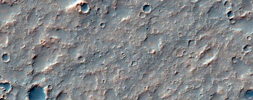 Candidate Landing Site for 2020 Mission
