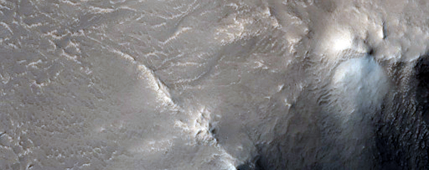 Possible Hydrated Silica and Phyllosilicates in Central Peak of Crater
