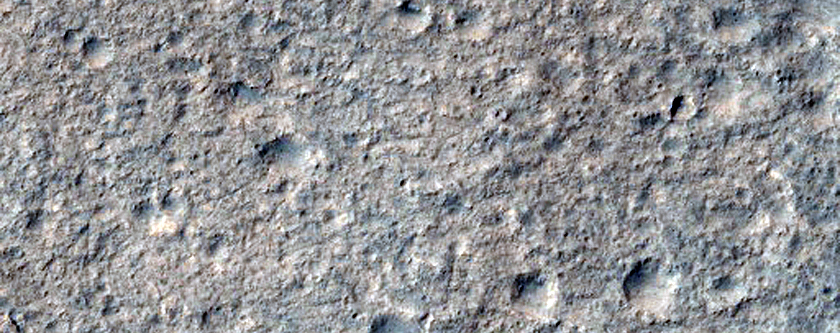 Candidate Landing Site for 2020 Mission in Hypanis Valles Delta

