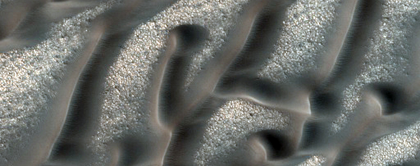 Possible Gypsum-Rich Dunes in North Polar Erg
