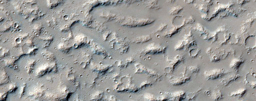 Dense Secondary Impacts along Ray 120-Kilometer from Zumba Crater
