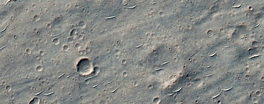 Rays from 8-Kilometer Diameter Crater
