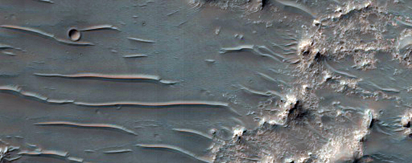 Candidate Landing Site for 2020 Mission in Eberswalde Crater
