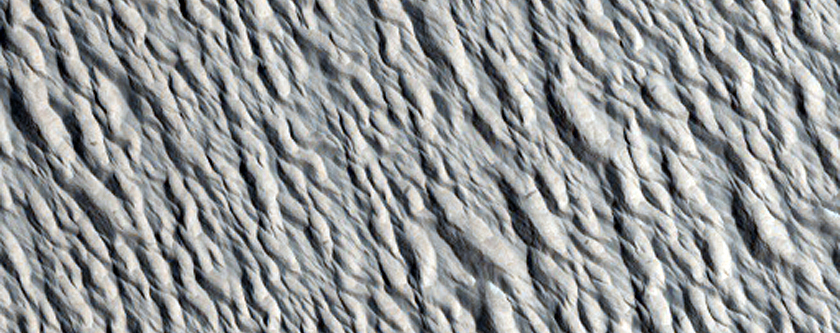 Monitoring Site in Northern Amazonis Planitia
