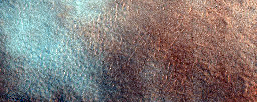 Terrain Sample
