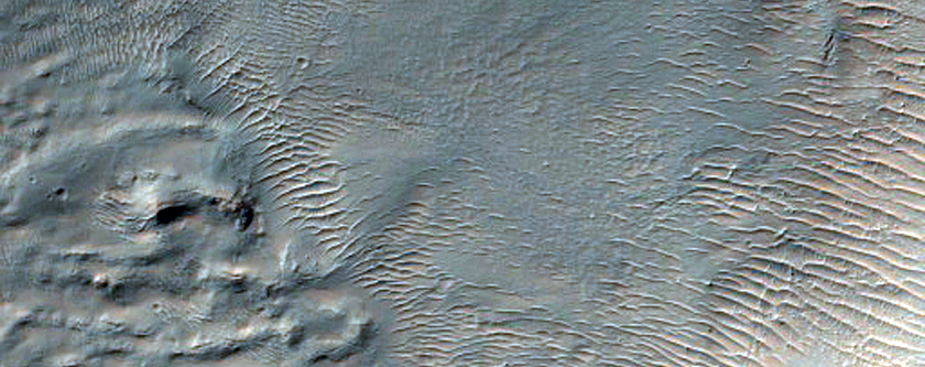 Gully Monitoring
