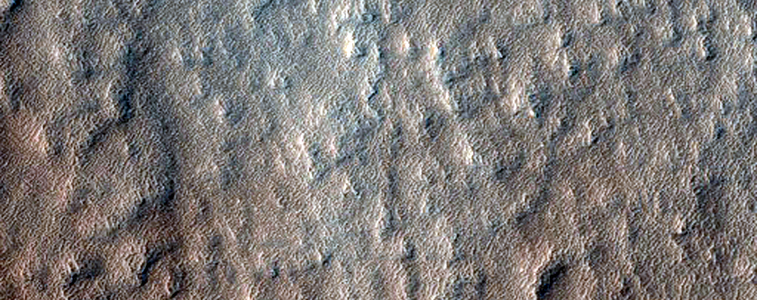 Olympus Mons
