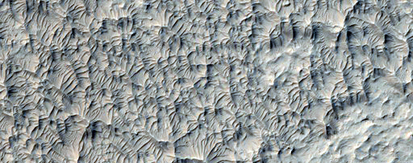 Contact in West Lucus Planum
