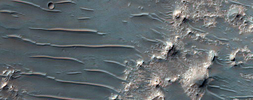 Candidate Landing Site for 2020 Mission in Eberswalde Crater

