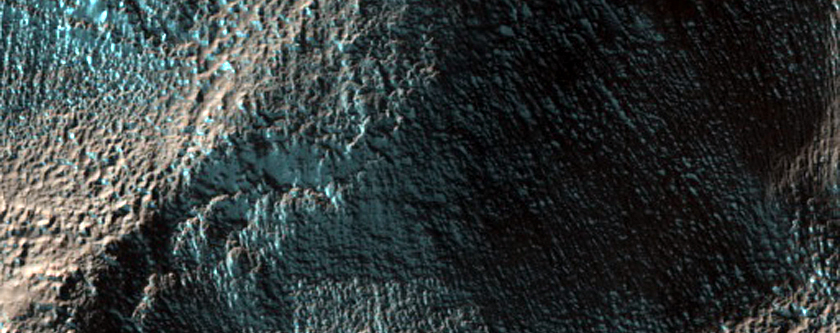 Gully Monitoring
