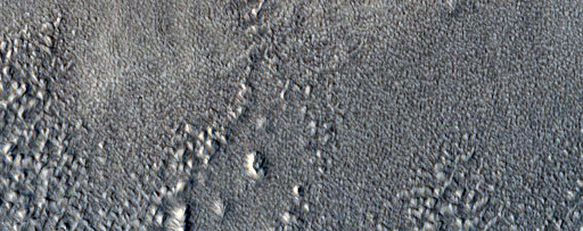 Lobate Debris Aprons in Erebus Montes

