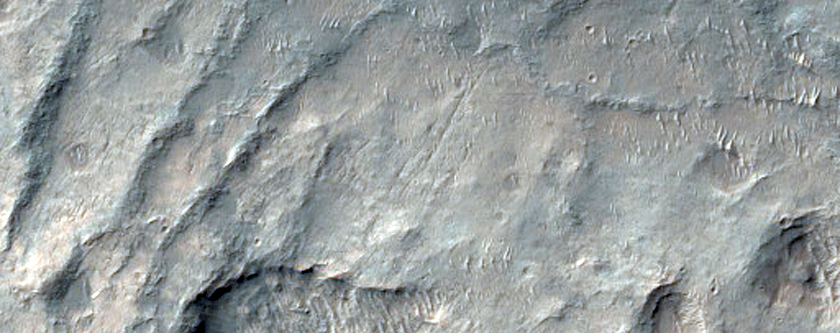 Candidate 2020 Mission Landing Site in Kashira Crater
