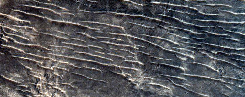 Monitoring Active Dunes in Arabia Terra
