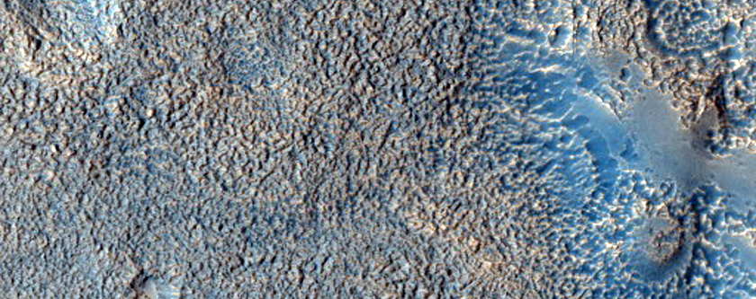 Pitted Ridges in Utopia Planitia
