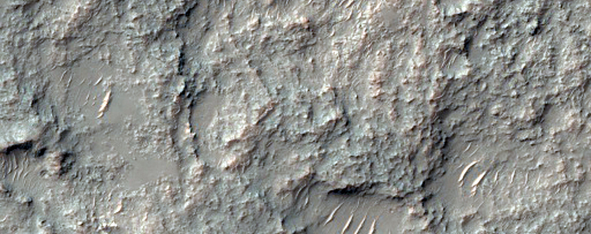 Sinuous Ridges in Crater in CTX Image