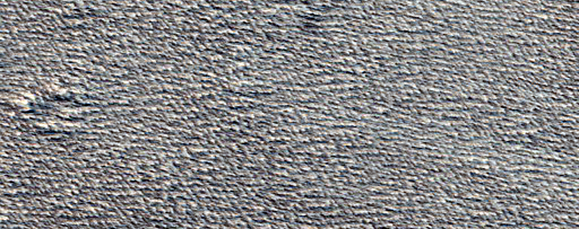 Monitoring New Impact Site
