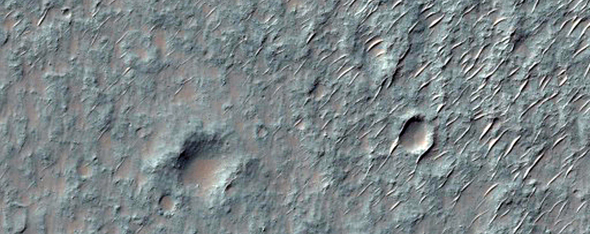 Braided Channel in the Southern Highlands

