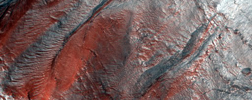 Gully Monitoring
