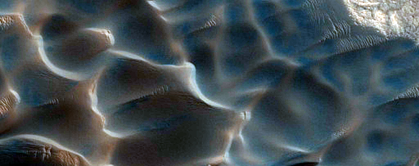 Dunes Dubbed Buzzel
