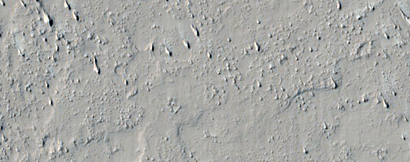 Crater-Like Structure
