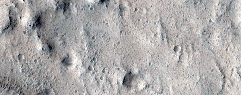 Enigmatic Terrain in Amazonis Planitia
