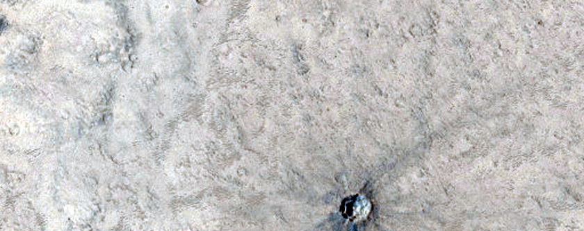 Candidate Recent Impact in Arabia Terra
