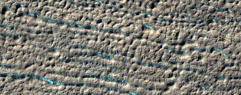 Gully Monitoring
