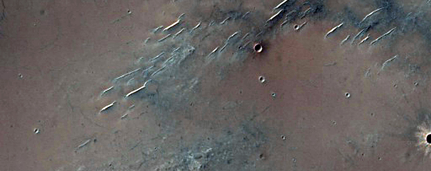Well-Preserved Impact Crater in Sinus Sabaeus Region