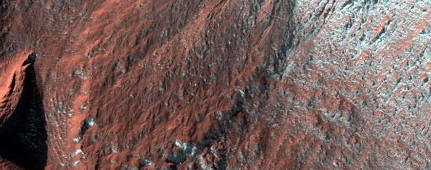 Gully Frost Monitoring
