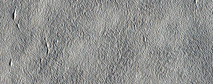 Arcadia Planitia
