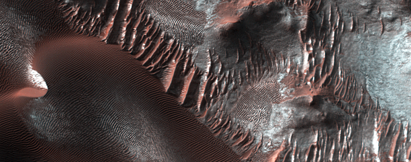 Matara Crater Dune Gully Monitoring
