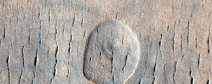 Scalloped Terrain in Utopia Planitia
