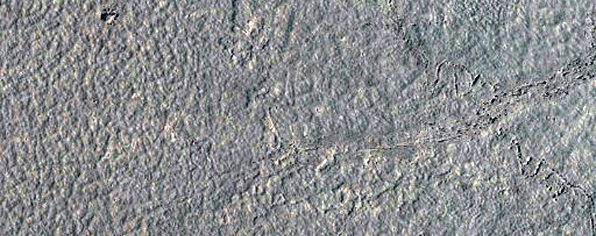 Platy-Ridged Lava in Cerberus Palus
