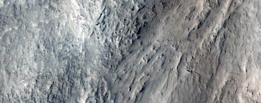 Nilosyrtis Region Terrain
