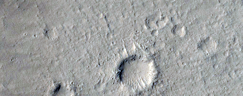 Layers in Crater Rim in Amazonis Planitia
