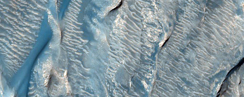 Ophir Chasma Floor
