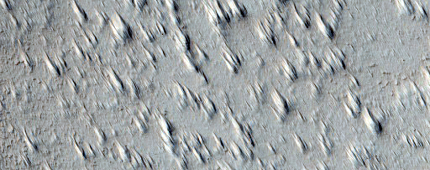 Lava Flows from Pavonis Mons
