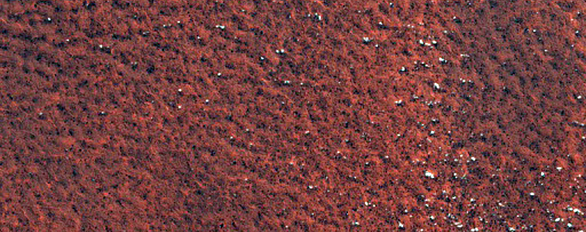 Northern Terrain Sample
