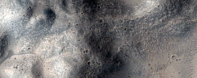 Gully Monitoring
