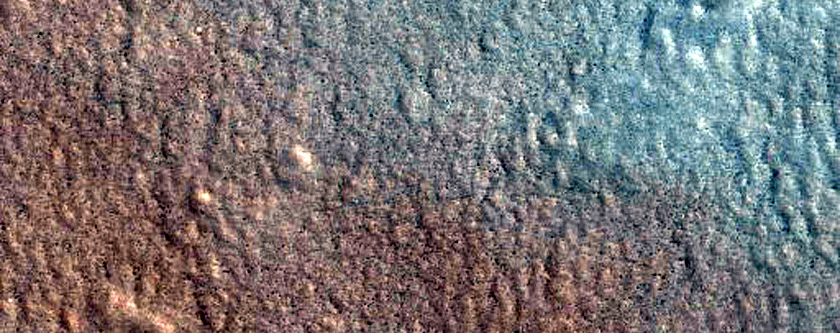 Terrain Sample

