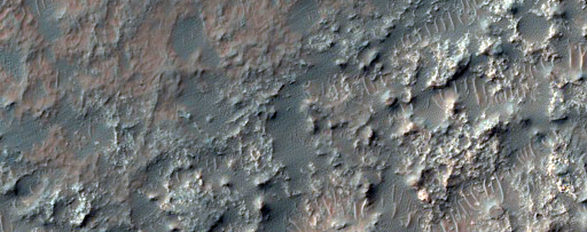 Martz Crater
