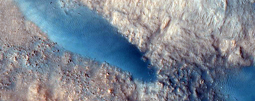 Monitoring South Lyot Crater Dark Dunes
