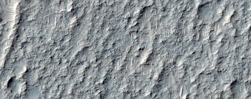 Rocky Unit in Terra Sirenum
