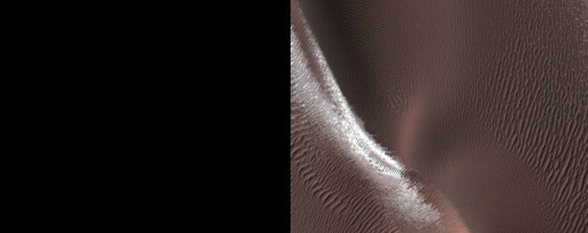 Dune Gully Monitoring
