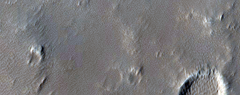 Layers in Trough in Elysium Fossae Region
